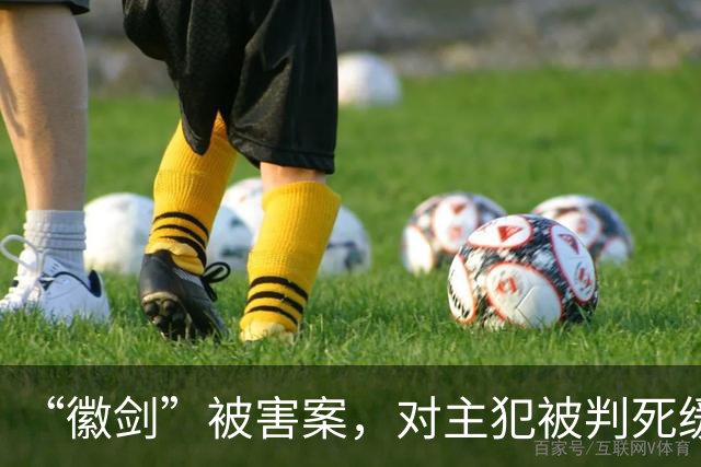 “徽剑”被害案，对主犯被判死缓我无法理解