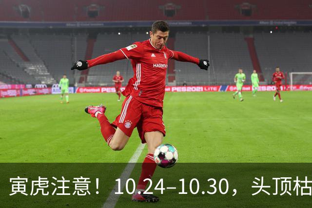 寅虎注意！10.24–10.30，头顶枯藤将断，有贵人伸手拉你一把