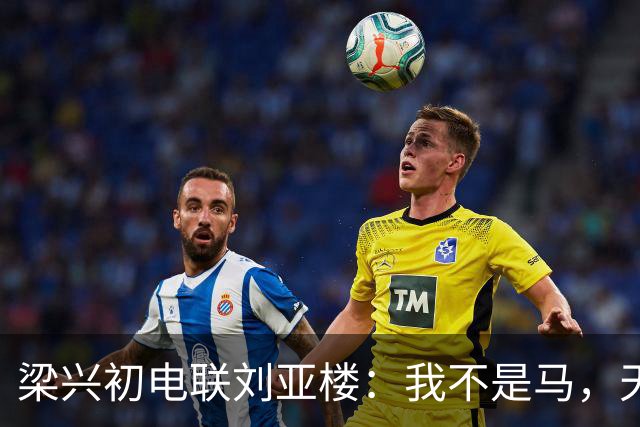 梁兴初电联刘亚楼：我不是马，天天吃豆子，刘：大胆，你骂谁？