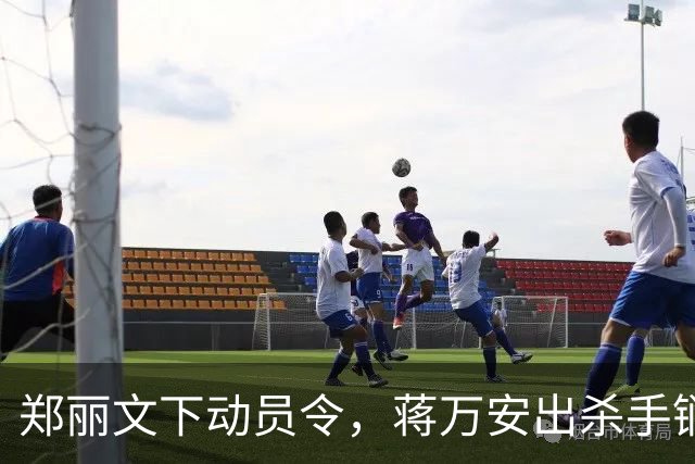 郑丽文下动员令，蒋万安出杀手锏，卢秀燕设防线，朱立伦挺赵少康