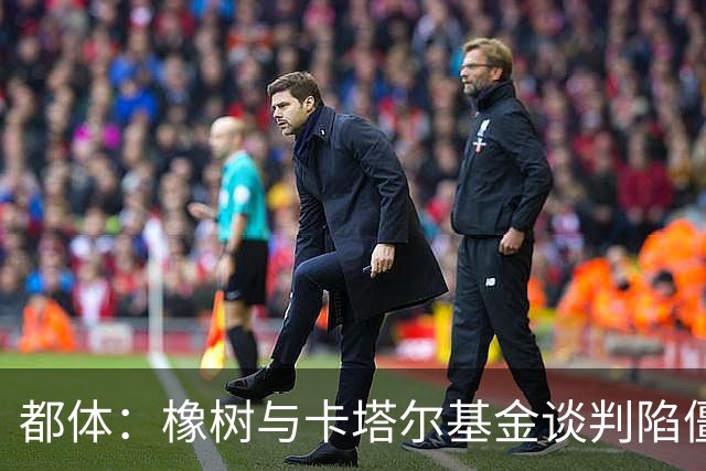 都体：橡树与卡塔尔基金谈判陷僵局，国米少数股权估值分歧显著